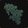 Old Moonbrook Creeping Ivy icon