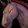 Void-Forged Stallion icon