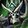 Forbidden Knowledge icon