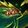 Toxic Trophies icon