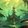 One Does Not Simply Walk Into Harandar icon