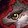 Akiki icon