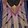 Reshii Wraps icon
