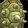 Pointy Half-Shell icon