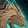 Bronze Gravewing Harness icon