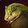 Pack Ambush icon