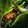 Aberrant Commander's Gauntlets icon