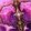 Ceremonial Draenite War Maul icon
