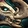 Bonecleaver's Skullboar icon