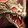 Reins of the Albino Mana Ray icon