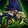 The Coiled Huntress icon