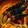 Ensemble: Time-Lost Earthwarden's Battlegear icon