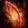 Flame-Warped Curio 