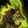 Felscorned Reins of the Netherlord's Dreadsteed icon