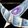 Crystalline Crossbow icon