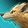 Bronze Wilderling Harness icon
