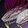 The Writhing Brood icon