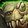 Commendation of the Sitchmasters icon
