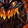 Fall of Deathwing Icon