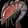 Blood Shrimp Icon