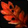 Fire Leaf Icon