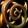 Goldthorn Icon