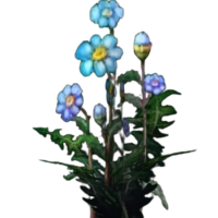 Blindweed