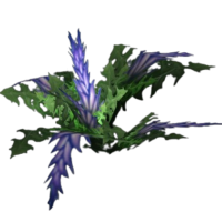 Dreamfoil