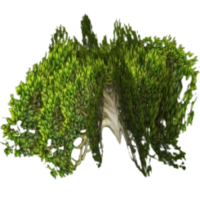Fadeleaf