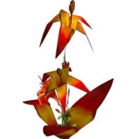 Firebloom
