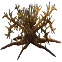 Goldthorn