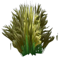 Khadgar's Whisker