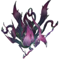 Purple Lotus