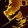 Blistering Vent Icon