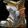 Shadowy Mail Greaves Icon