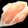 Zesty Clam Meat Icon