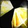 Arcane Shard  Icon