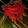 Ashenvale Rallying Cry Icon