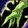 Faster Regrowth Cast Icon