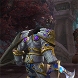 Protection Paladin Leveling Guide