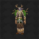 Tier 1 Druid Set
