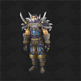 Tier 1 Warrior Set