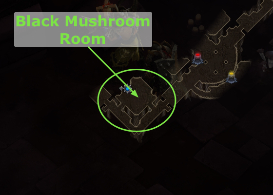Black Mushroom Room