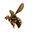 Wespe Icon
