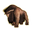 Buffalo Icon