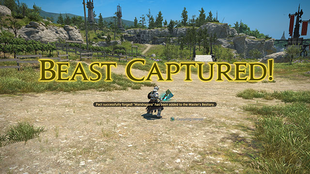 Capturing Beasts in FFXIV with Beastmaster