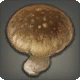 Porcini Simular
