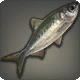 Herring Simular