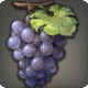 Grape Simular