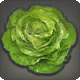 Lettuce Simular